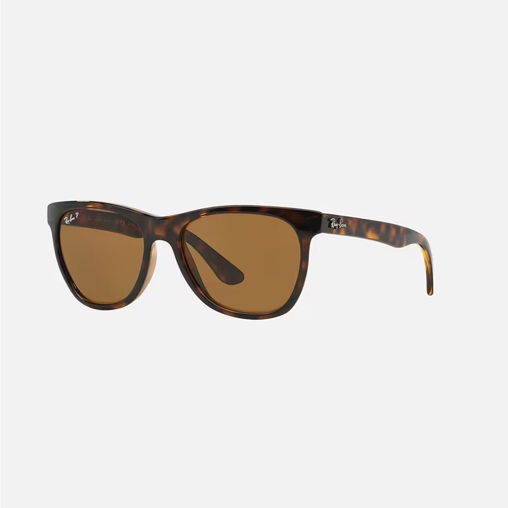 Ray-Ban RB4184 Polarized Sunglasses